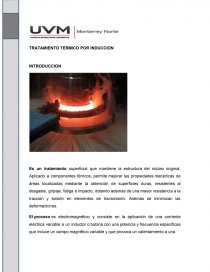 TRATAMIENTO TERMICO POR INDUCCION. Página 1
