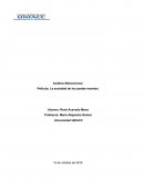 Trabajo Sociedad Poetas Muertos