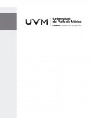 Actividad Final: Bases y Pilares