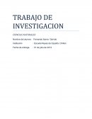 Animales chilenos en peligro de extinción