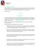 Ensayo bloques economicos