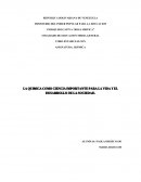 LA QUIMICA COMO CIENCIA IMPORTANTE PARA LA VIDA Y EL DESARROLLO DE LA SOCIEDAD