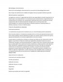 Metrodologia y electromecanica