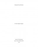 El Trafico Ilegal De Órganos