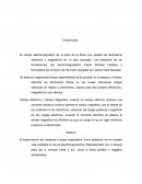 Fisica proyecto