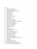 Plan de negocio EMPRESA PARA LA CONFECCION Y COMERCIALIZACION DE POLOS PARA ESTUDIANTES