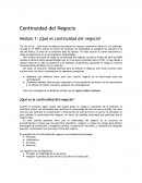 CONTINUIDAD DEL NEGOCIO