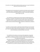 Plantas terrestres - Ensayo