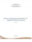 Causas y consecuencias de la Primera y la Segunda Revolución Industrial