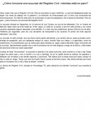 Cómo funciona el Registro Civil en Chile mientras está en paro