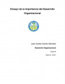 Ensayo de la importancia del Desarrollo Organizacional