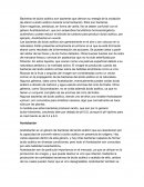 Bacterias de ácido acético