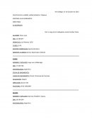 Informe de taller estudiantil