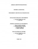 Informe de Laboratorio: Disección de un corazón de res