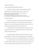 ENSAYO ¿QUÉ SE ENTIENDE POR COMPETENCIA PERFECTA?