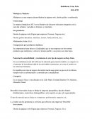 Entrevista a empresa de Software