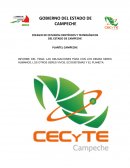 Obligaciones para con los demás seres humanos, otros seres vivos, ecosistemas y el planeta