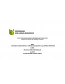 MATRICES DE CONCISTENCIA Y OPERACIONALIZACION DE LA EMPRESA FERRITODO