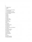 Ejemplo de las Palabras de derecho constitucional