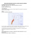 MEGACAMPO MARGARITA-HUACAYA, LAS DOS CARAS DE LA MONEDA