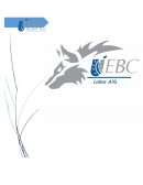 Investigación de Mercados: Muestreo