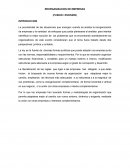 REORGANIZACION DE EMPRESAS (FUSION / ESCISION)