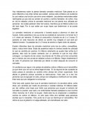 Cannabis Medicinal - Ensayo