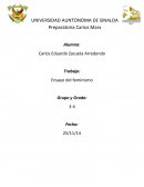Ensayo del feminismo