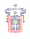 La violencia contra la mujer. Justificacion