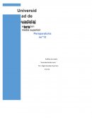 Veronika decide morir - Análisis de la novela