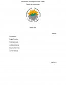 Estudio del Consumidor: Venus 360