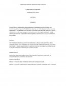 MAQUINAS ELÉCTRICAS: MOTORES