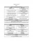 Actividad integradora: Modelo de sustitución de importaciones