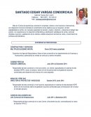 MI EXPERIENCIA PROFESIONAL