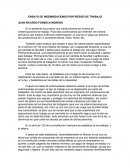 ENSAYO DE INDEMNIZACIONES POR RIESGO DE TRABAJO