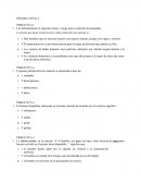 Prueba final de lenguaje