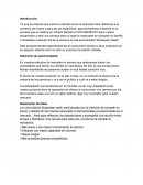 Lanzamiento de producción al mercado