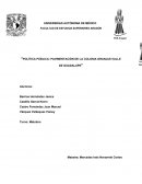 Política pública: pavimentación de la Colonia Granjas Valle de Guadalupe