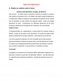 Análisis de la lectura Estructura Matricial Global de Nestlé