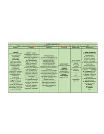MATRICES DE CONCISTENCIA Y OPERACIONALIZACION DE LA EMPRESA FERRITODO. Página 9