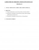 PROTECCIÓN CATÓDICA POR ANODO SACRIFICIAL