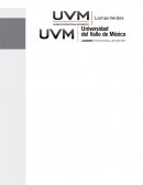 Qué pasos para implantar un sistema de calidad