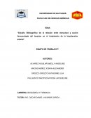 Estudio bibliográfico de la relación entre estructura y acción farmacología del losartan en el tratamiento de la hipertensión arterial