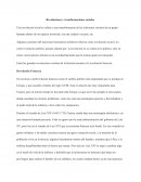 Revoluciones y transformaciones sociales: Revolución francesa