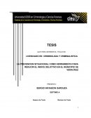 LA PREVENCION SITUACIONAL COMO HERRAMIENTA PARA REDUCIR EL INDICE DELICTIVO EN EL MUNICIPIO DE VERACRUZ