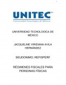 RÉGIMENES FISCALES PARA PERSONAS FÍSICAS