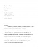 Manual de organización de un despacho contable