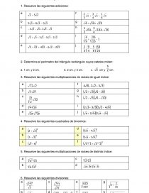 Raices y desarrollo. Página 1