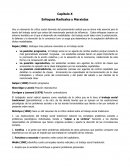 Capítulo X Enfoques Radicales y Marxistas