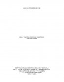 ENSAYO PROCESO DE PAZ.